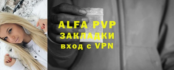 индика Покров