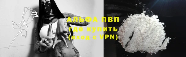 индика Покров