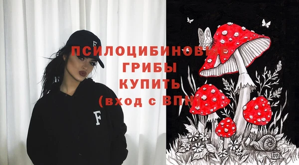 тгк Абаза